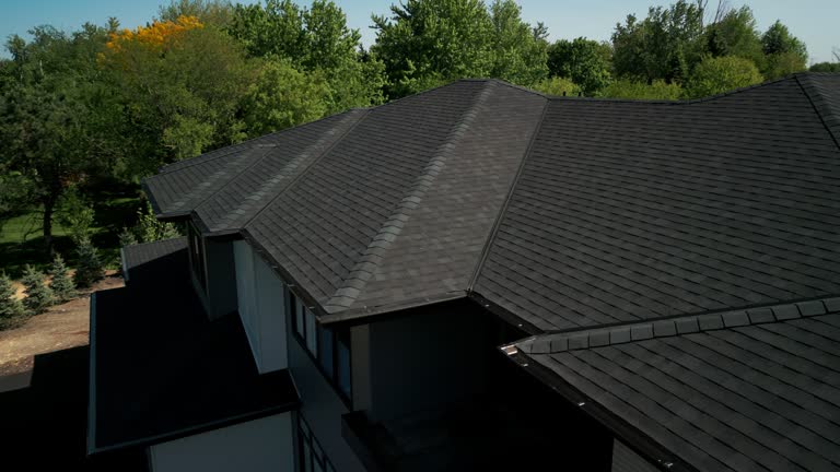 Best Roof Leak Repair  in Johnson City, NY